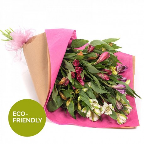 Wrap of Alstroemeria